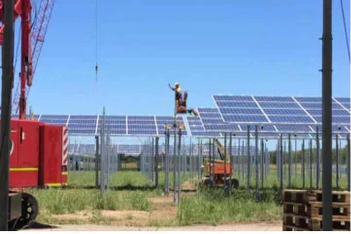 Solar Farming
